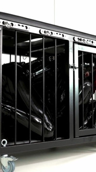 The Cage
