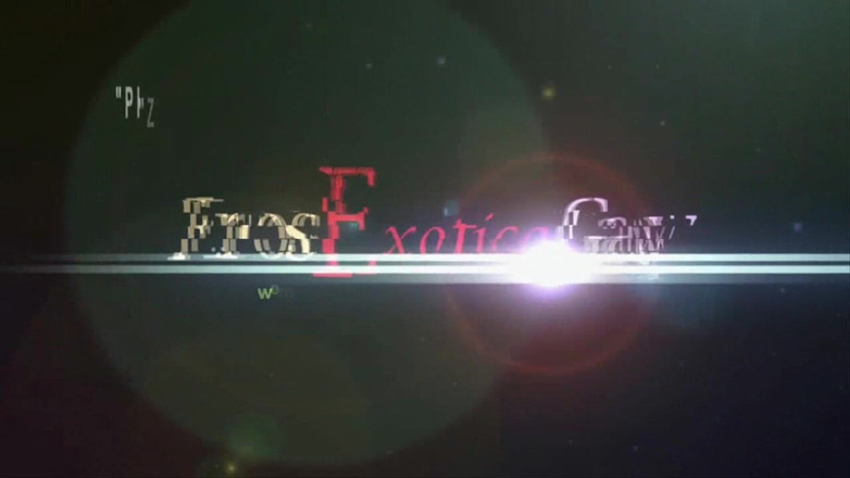 Eros Gay Exotica: Eros Exotica Gay: Ultimate Gay Sex Master: partea 3