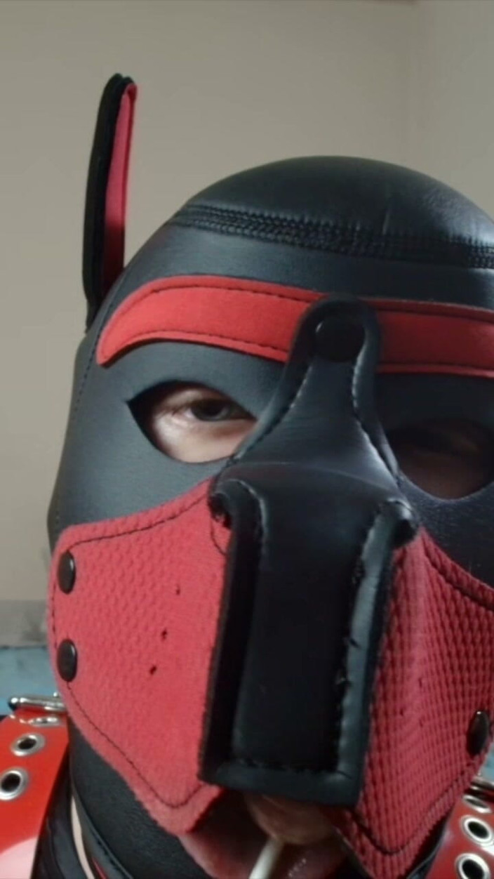 Alex GoodBoy: Pup Sucks His Lollipop up Close