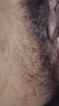 Peludo