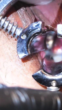Nella Vagina Di Lady Sonia