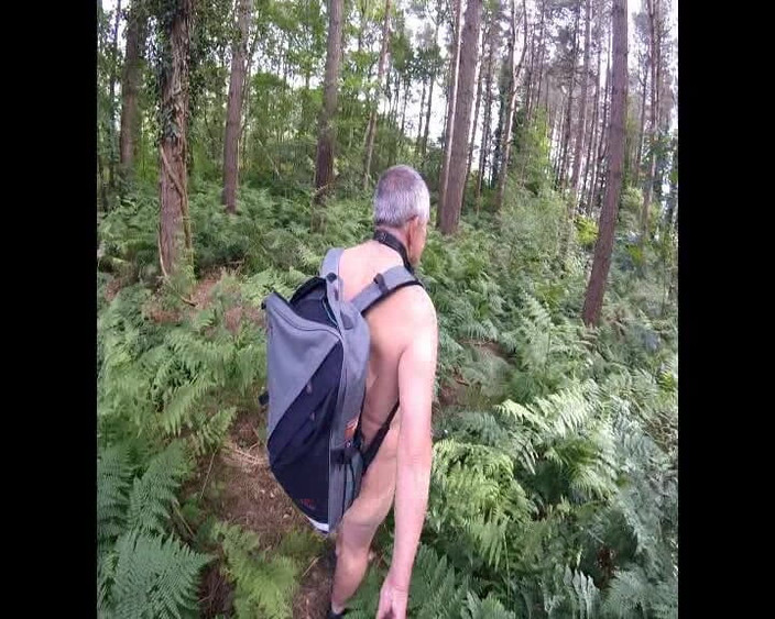 Andy: Nur ein Spaziergang im Wald