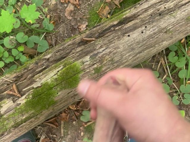Finished on a Walk in the Forest (Young cum)