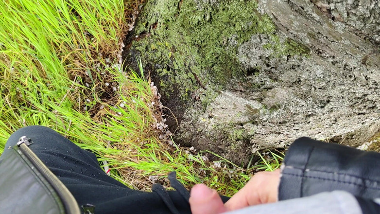 Bayer911: Pai oleh Oak