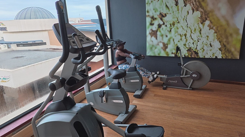 Black Swan: 땀, 미소 그리고 룸키 꿈을 꾸다