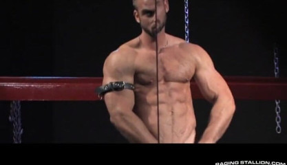 Raging Stallion: Instinct