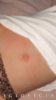 Thể loại mới! Macro porn: Hướng dẫn trinh tiết không đau đớn