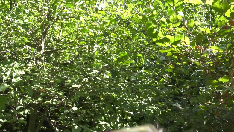 HPG Production: 거유 프랑스 자지를 빨아주는 오지는 금발 밀프 5200