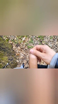 Weißer sperma, dünner jungfräuischer junge, sperma-mixxxx