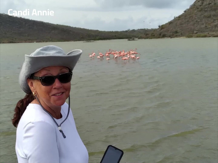 Candi Annie: Crucero Por El Caribe Con Sexy MILF GILF Candi Annie