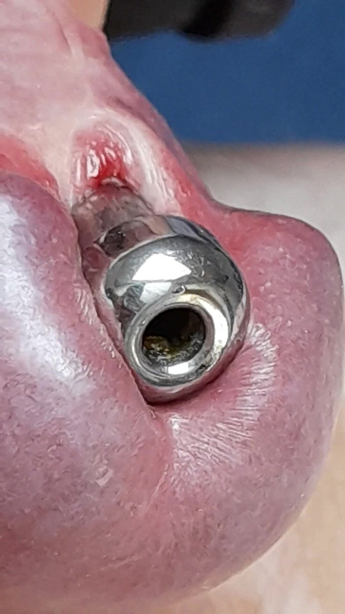 Swedish_switcher: Aku lagi asik ngentot memekku sampai lubangnya menganga lebar - close...