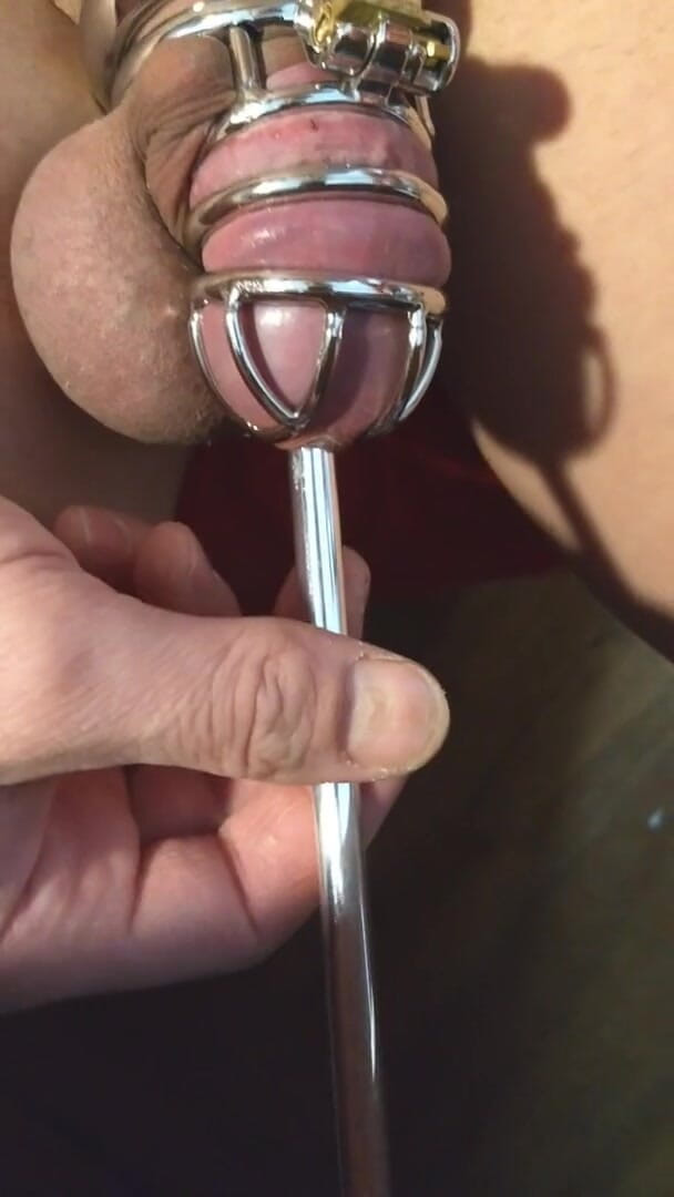 Lycra Shanks: Sissy-sound