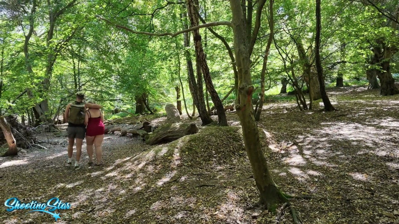 Shooting Star: Trójkąt Stranger Danger Forest - z 2 obciążeniami na mojej twarzy