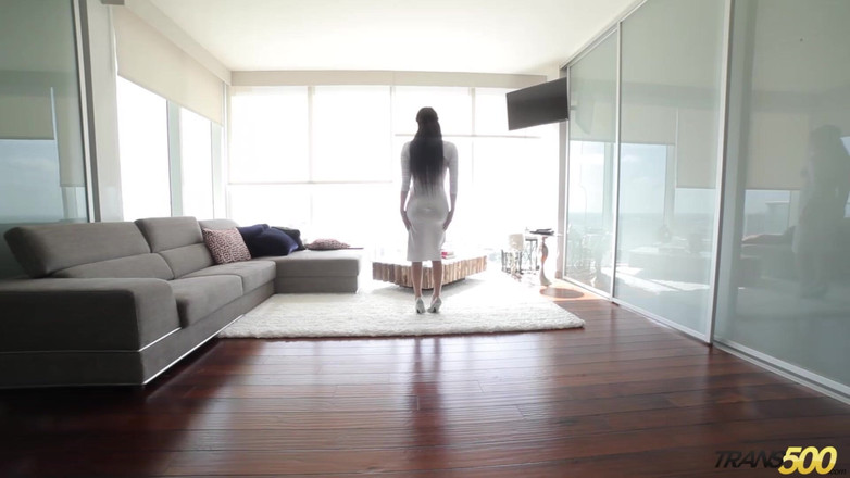 Trans 500: Sexy Domino Jerks off