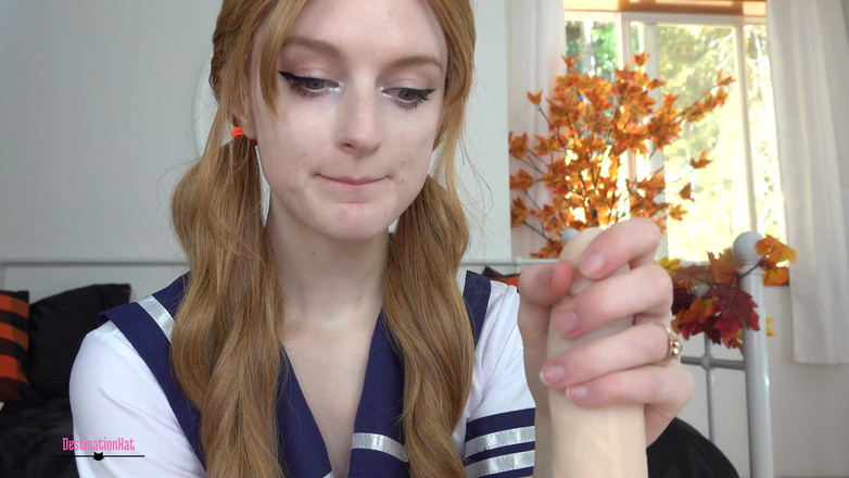 Destination Kat: Schnüffeln und kommen