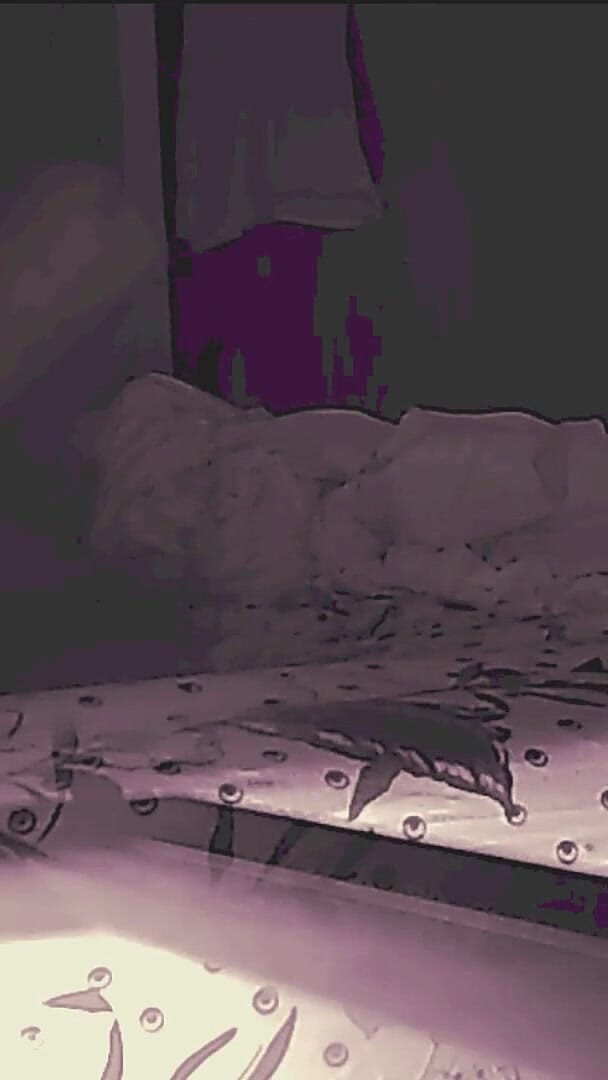 Jollyfuckingoldman: She Say No Anal but He Don't Take No for...
