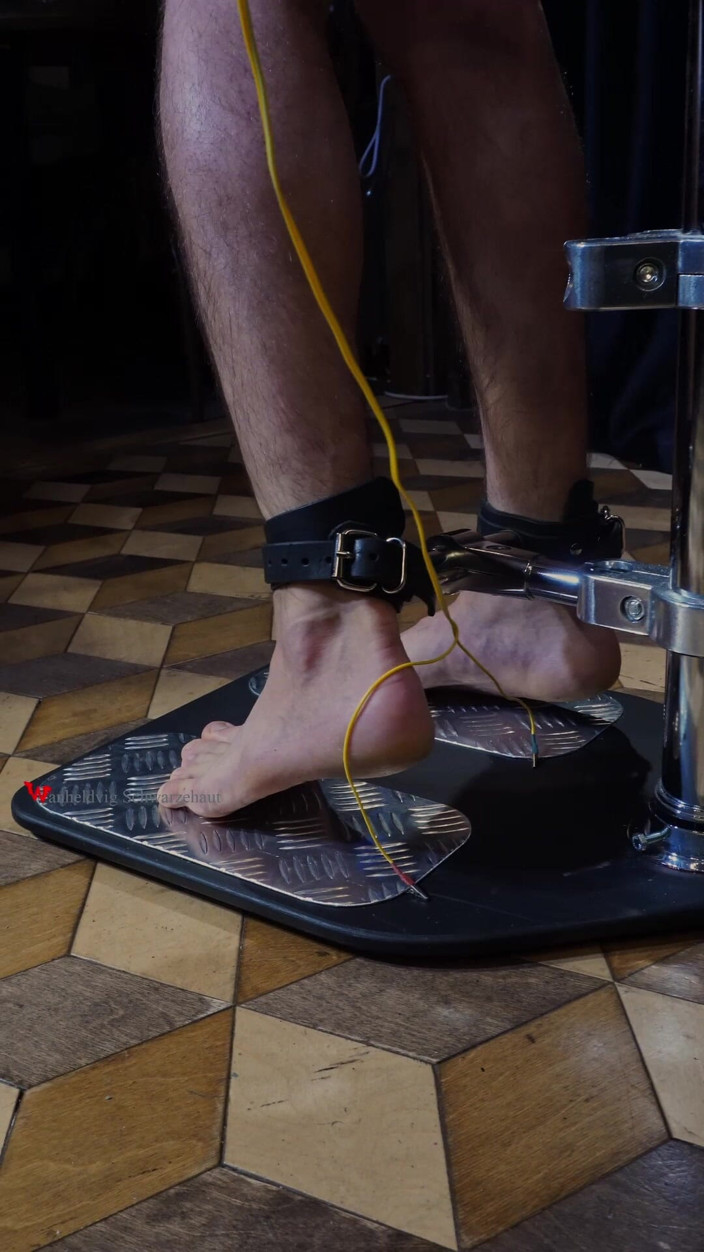 Wanheldvig: Niki Electrice Booth de cercetare: Sexy Vă faceți griji, cleme...