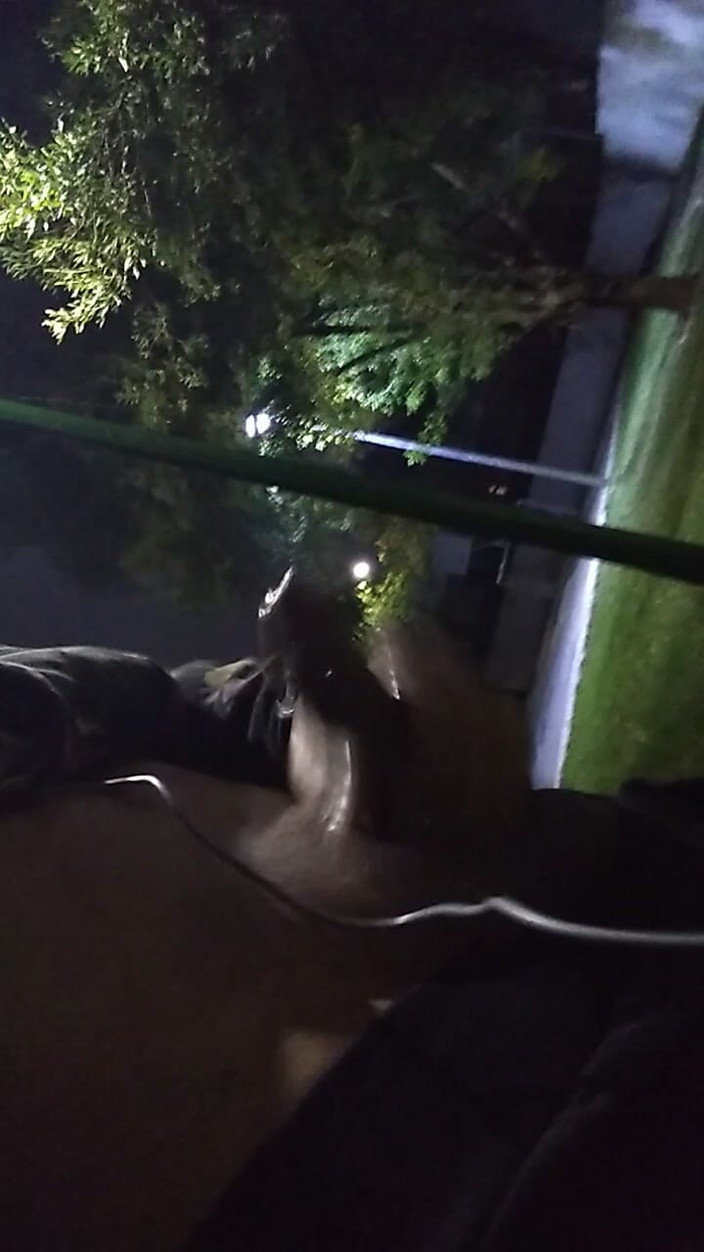 AlexAlejandro13: Hot Public Park