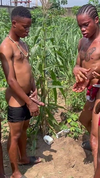 Jungle boy, teil drei