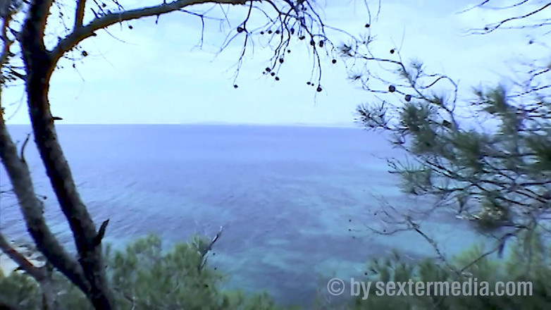 Beachbitches: Pájaro Carpintero Que Se Traga Esperma