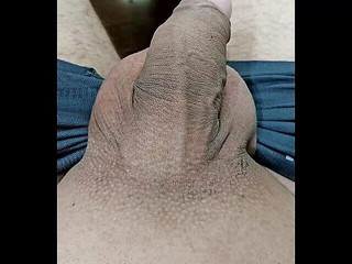 Lkdick8: Pták zblízka