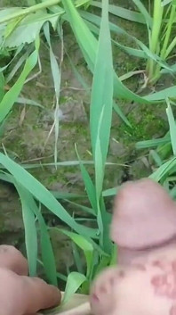 Experimento social xxx: chico al azar lame mi coño al aire libre
