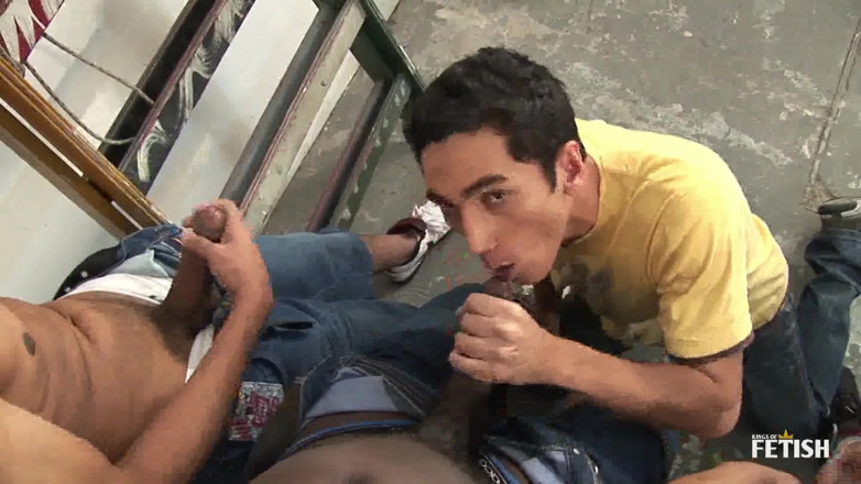 Gay Diaries: Pantat cewek gay kulit putih dihabisin di-gangbang habis-habisan setelah nyepong...