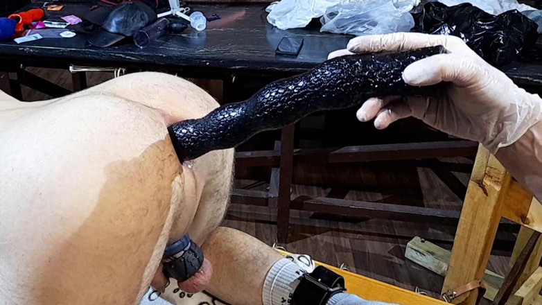 Master Drex: Zwei dildos