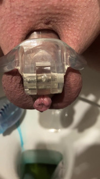 Pissing Chastity Cage