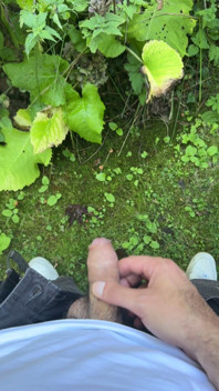 Golden Stream: Peeing in Paradise