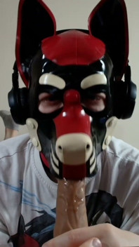 Latex Pet Sucks His Rubber Bone. Watch the Full on My Fancentro