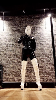 Dominatrix Unicorn