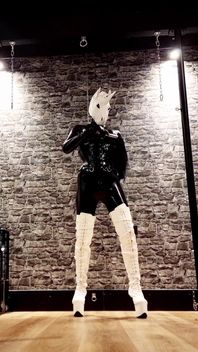 Dominatrix Unicorn