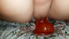 Pornmaster: Training with big dildo