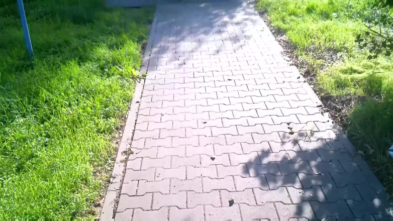 CoraBitch: Fuck on Parkstation Bornbruch