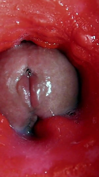 Die schönste interne orgasmus-nahaufnahme! Asmr großer cumshot!