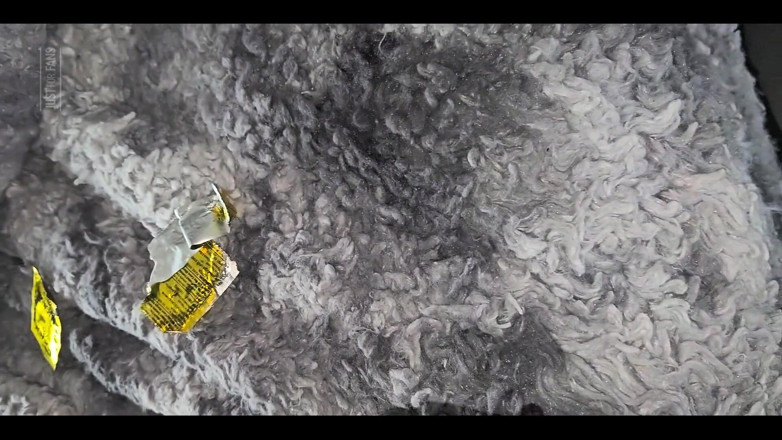 SirMaxxximus: Magnified in a Magnum