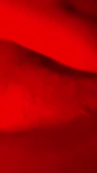 Pussy Fat