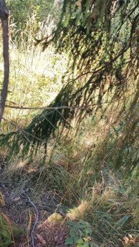 Se Promener Dans Un Parc Habillée En Salope Et Une Énorme Éjaculation
