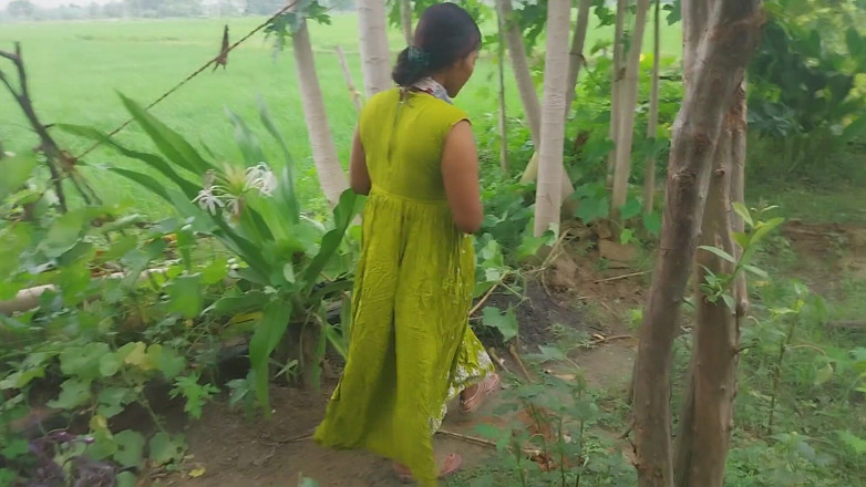 Pooja raniji: Jardin indien de la forêt à proximité de mon jardin de...