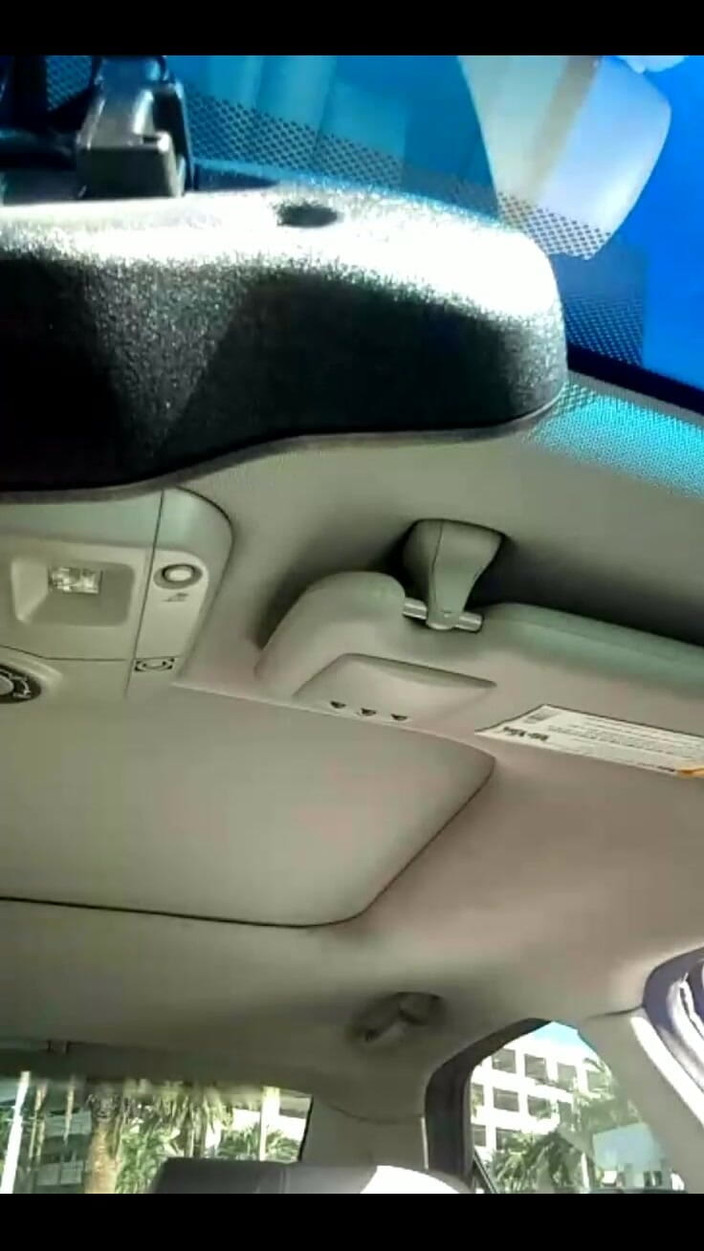 His Queen Suga: Revisão rápida do Vibrador rosa