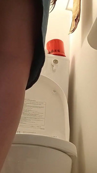 Video Toilet Di Hotel