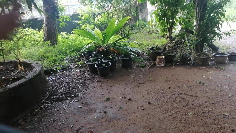 Tina Baby: Putri tiriku sebelum digoda