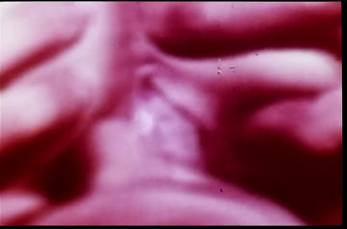 Close Encounter Vintage: Retro porno retro erotik-theater - dead heat