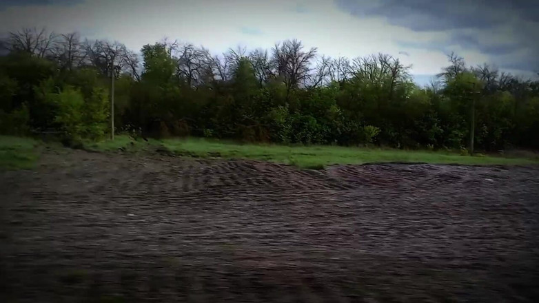 Fish Cam: Twink Took the Train From the City to the Forest...