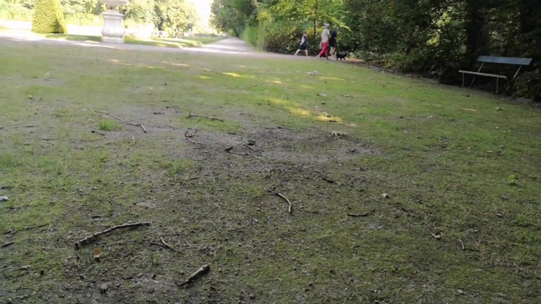 Monster_Meat_: Riskant draußen spielen im parc
