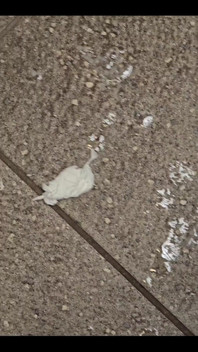 Sexy Wank, Got so Fucking Horny I Just Had to