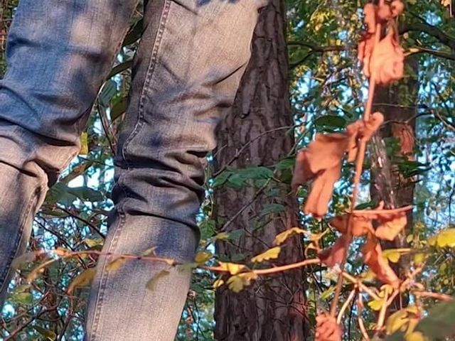 Forest Walk (Manneken pis)