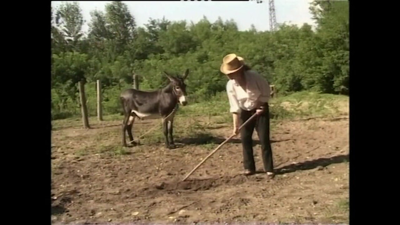 XTime Vod: Rosalia Catanese - exclusive Soft Film