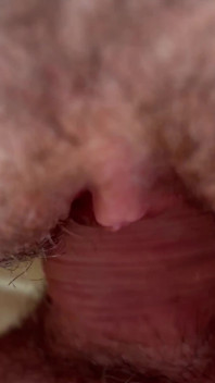 Orta yaşlı seksi kadın sikilmeden önce yarağımı yağla sıvazlıyor. POV. Close.